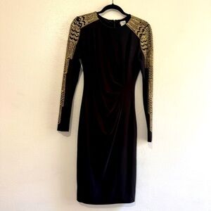 Cache Elegant Black Long-Sleeved 
Dress w/side ruching. Sz 6.